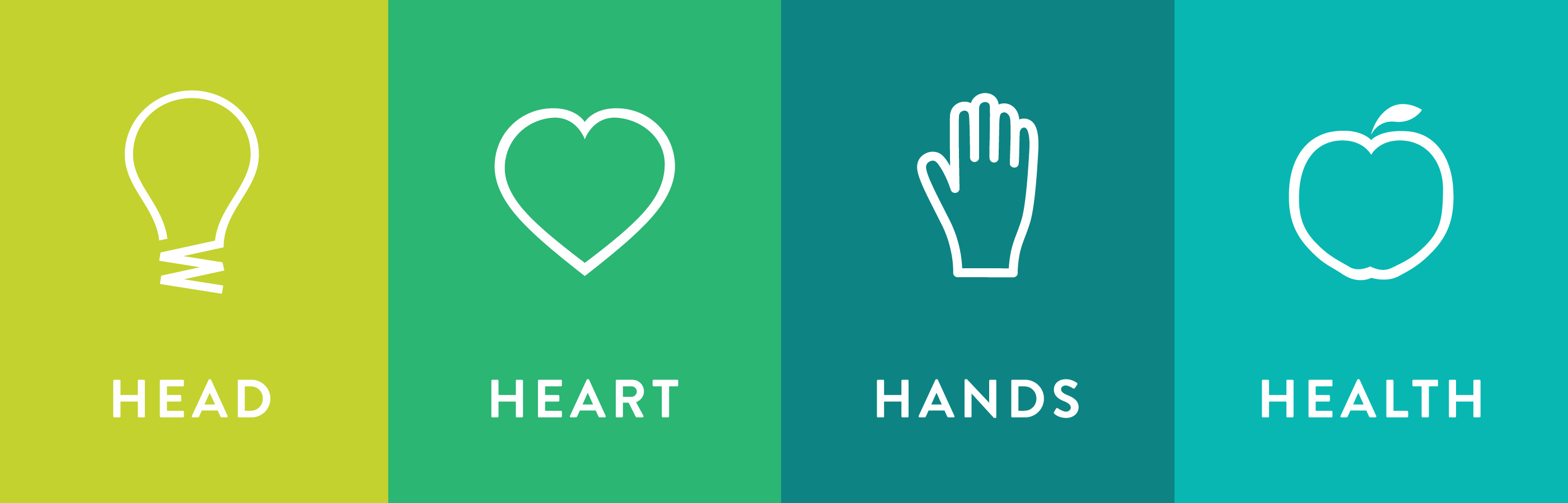 Head, Heart, Hand, Health