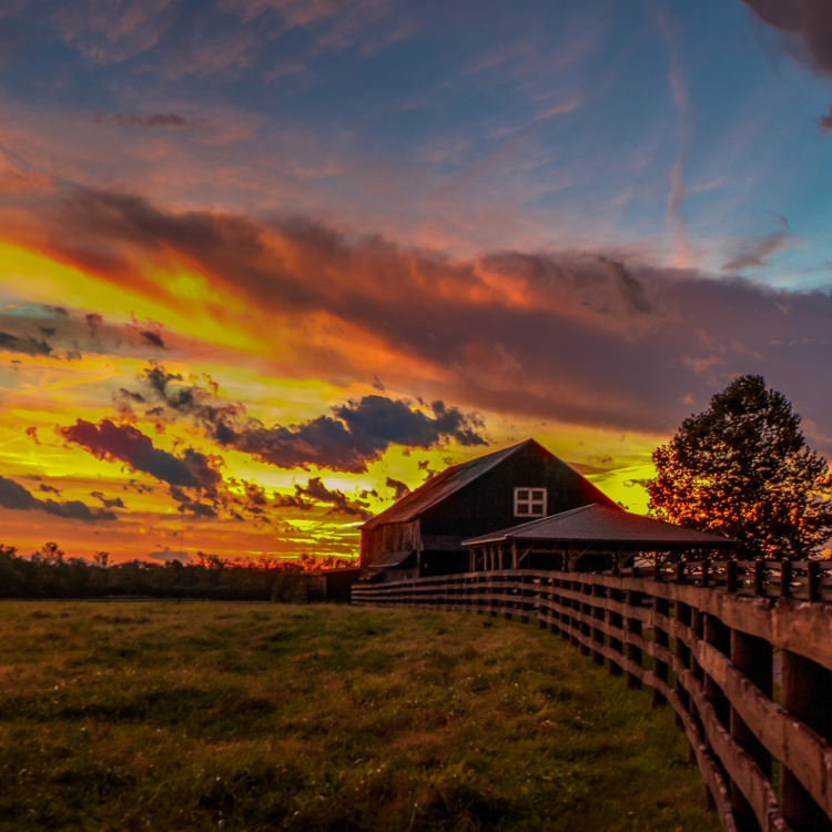  Kentucky Farm Scene